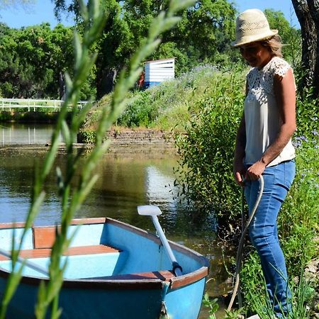 Quinta Da Saudade Hotel Ponte de Sor Ngoại thất bức ảnh